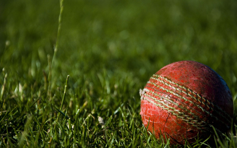 Bola de Cricket sobre un campo verde.